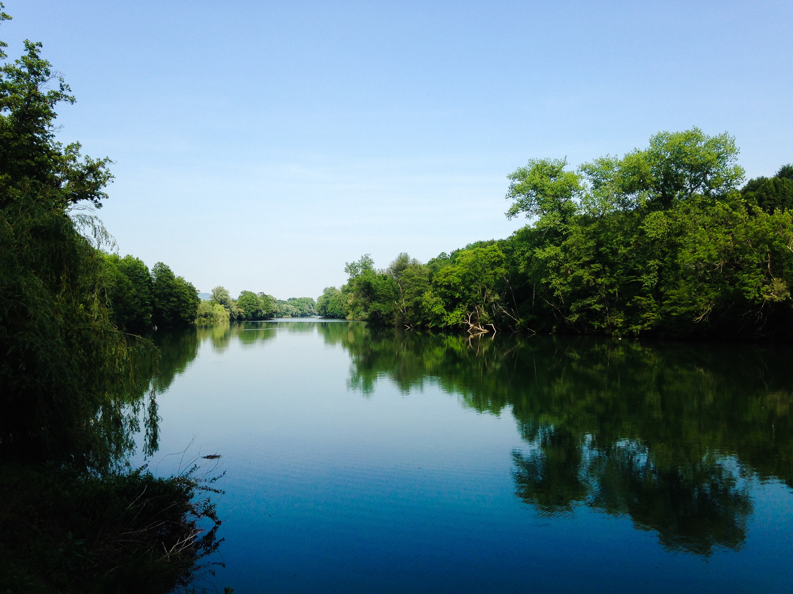 37550535636_b7c3be7ea5_o