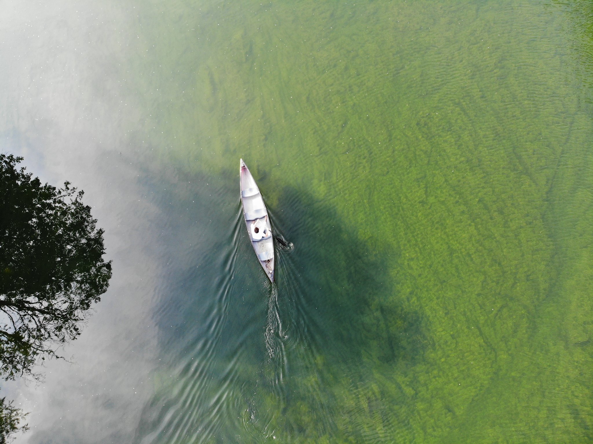 42623719125_926bc4c5ec_k